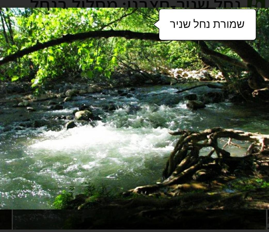 דירות הגושרים דירה חמודה ואינטימית מראה חיצוני תמונה