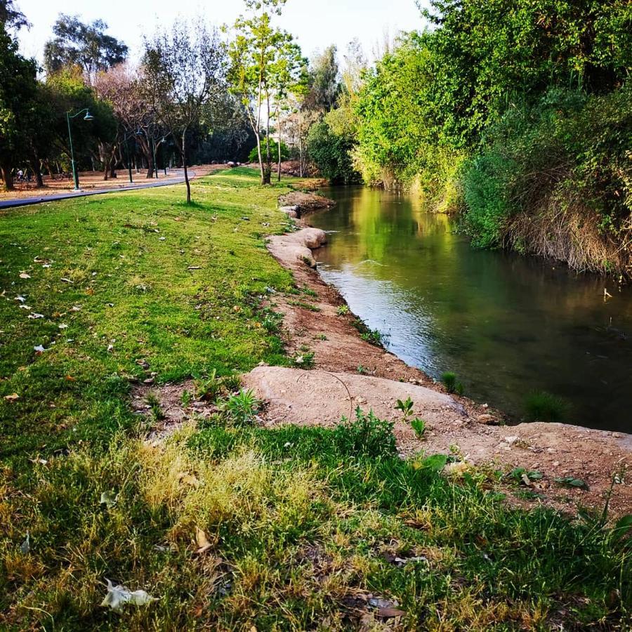 דירות הגושרים דירה חמודה ואינטימית מראה חיצוני תמונה
